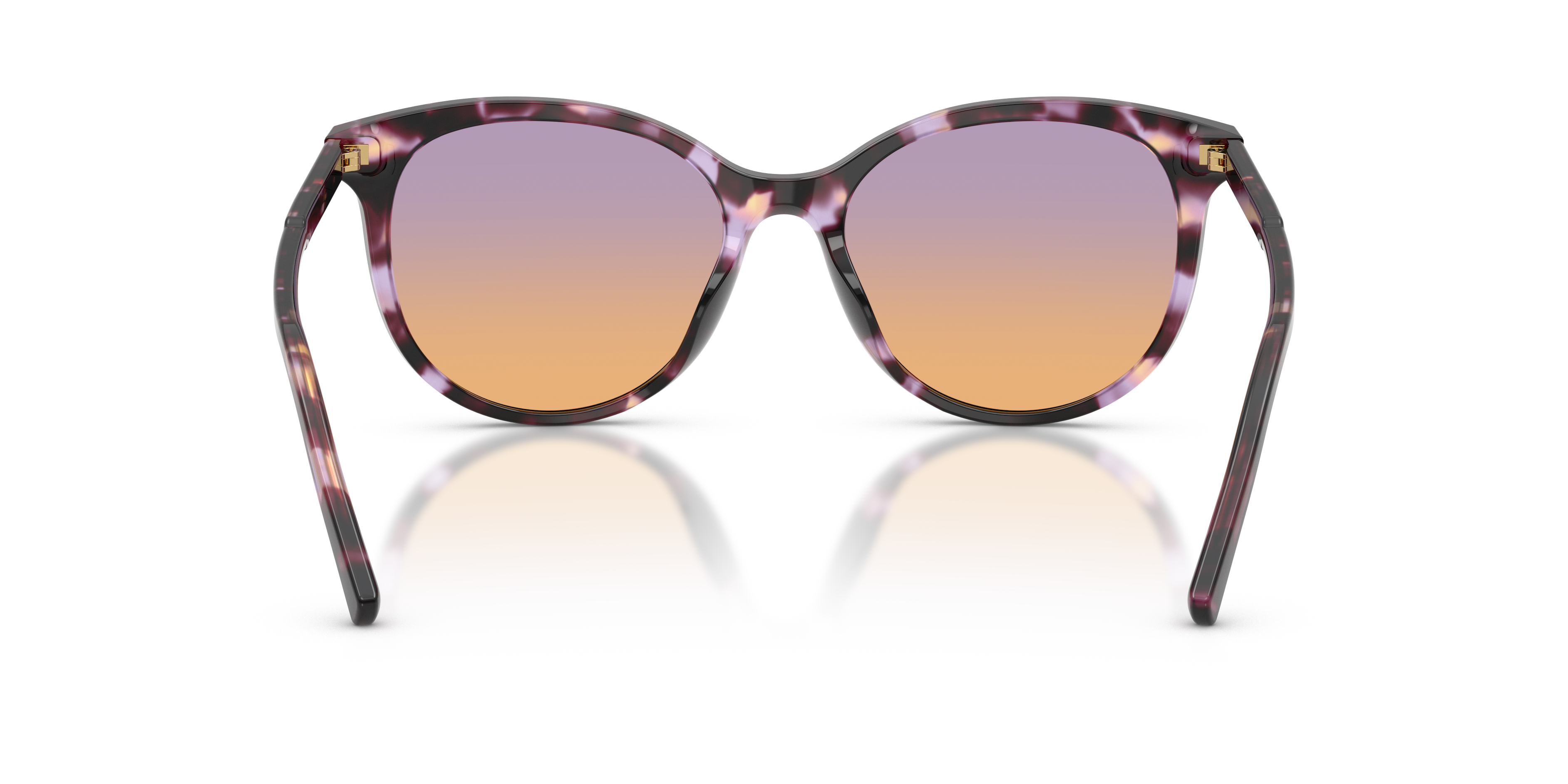 Dolce & Gabbana DG4540 3477EL  